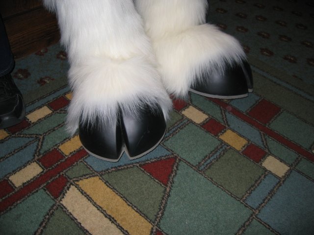 hooves