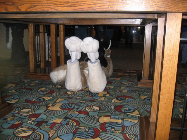 fur under the table