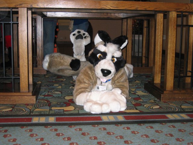 fur under table