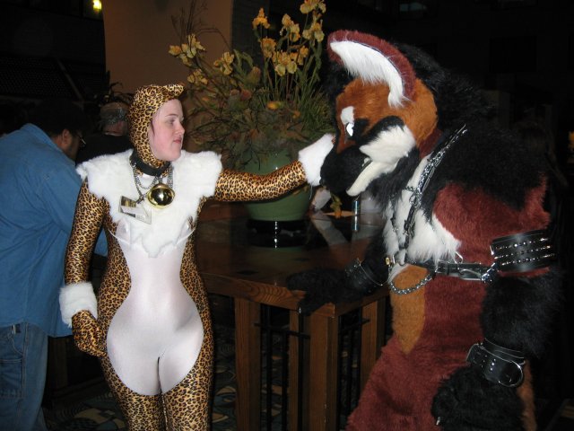 Kat the Leopardess and a fox