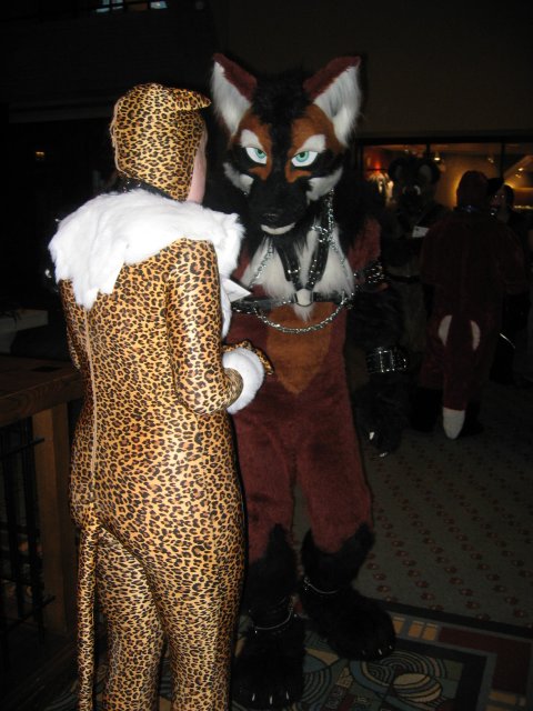 Kat the Leopardess and fox