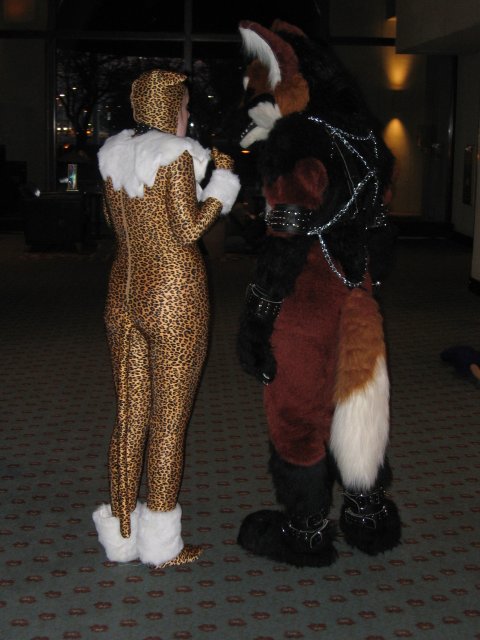 Kat the Leopardess and fox