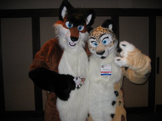 Tek Fox and Pusscat